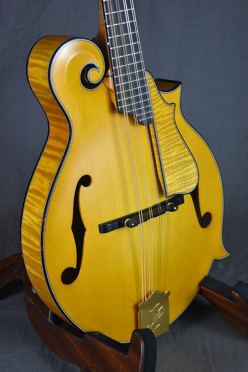 2004 Nugget F5 Deluxe #254