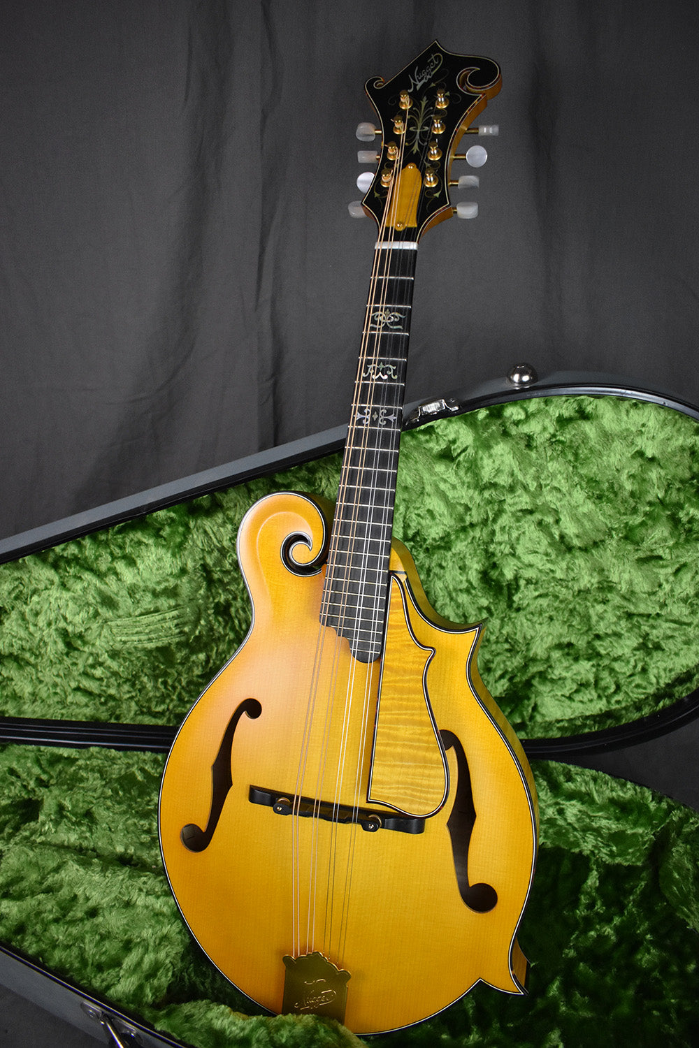 2004 Nugget F5 Deluxe #254