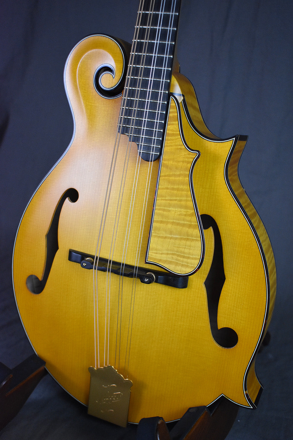 2004 Nugget F5 Deluxe #254