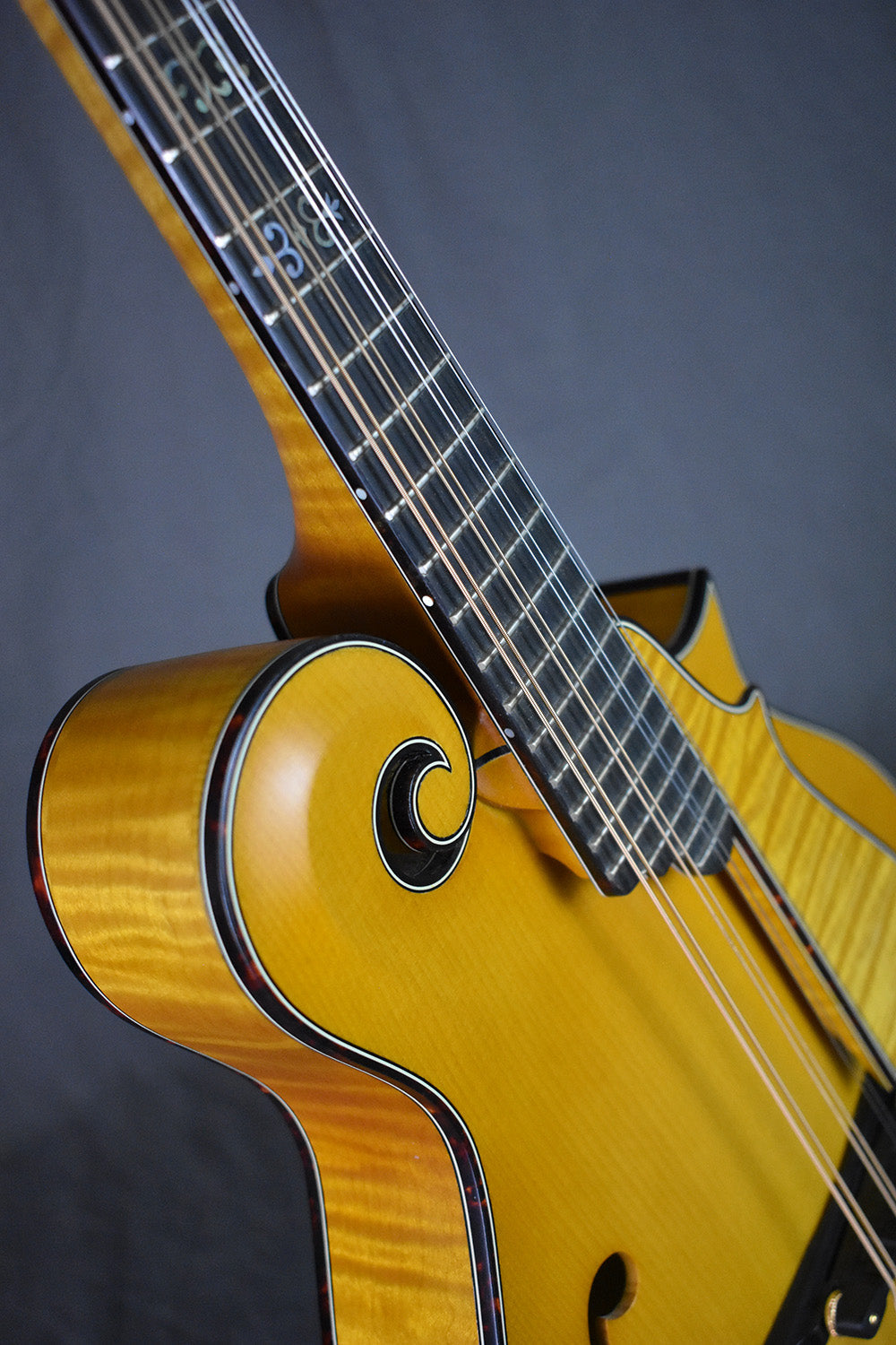 2004 Nugget F5 Deluxe #254