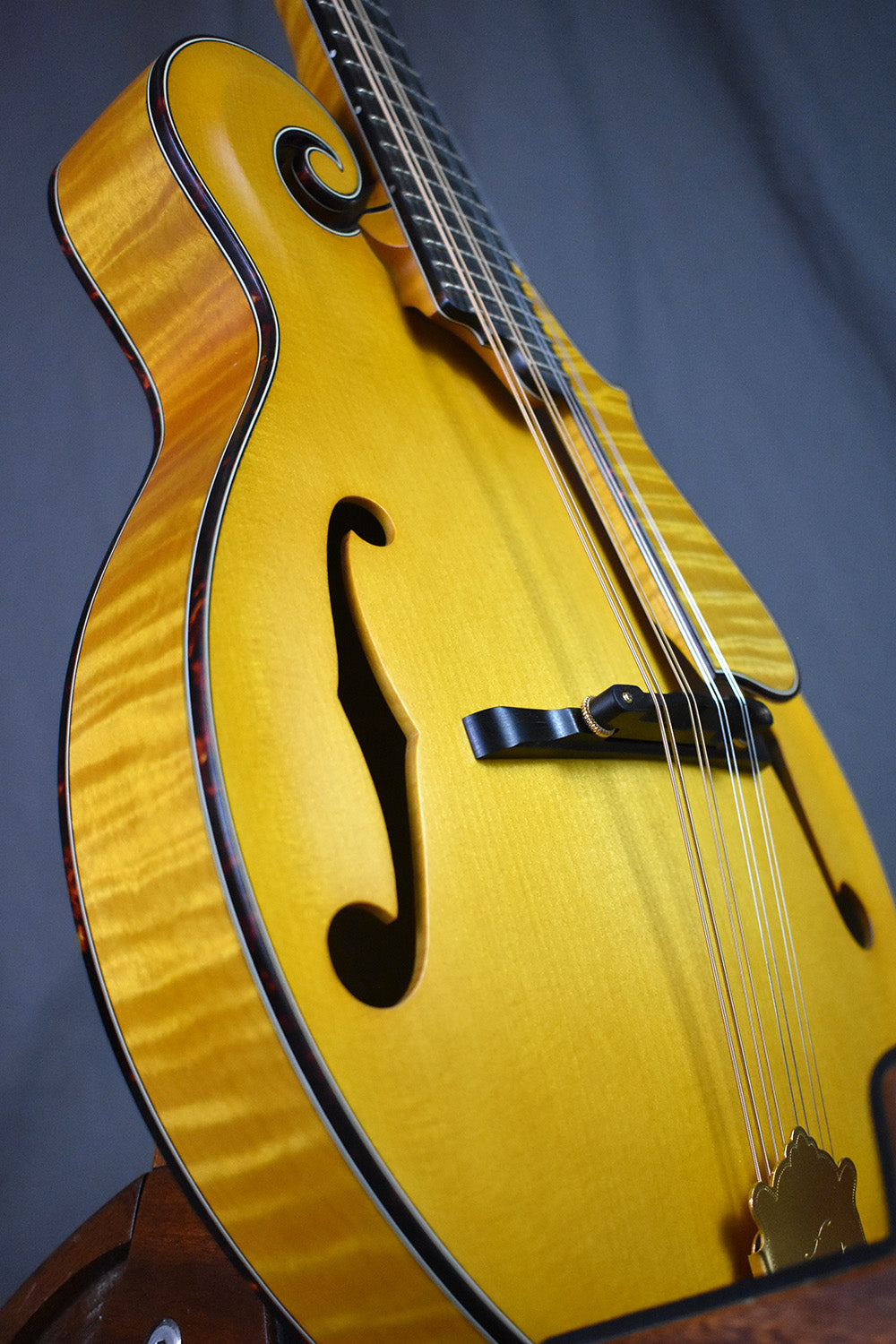 2004 Nugget F5 Deluxe #254