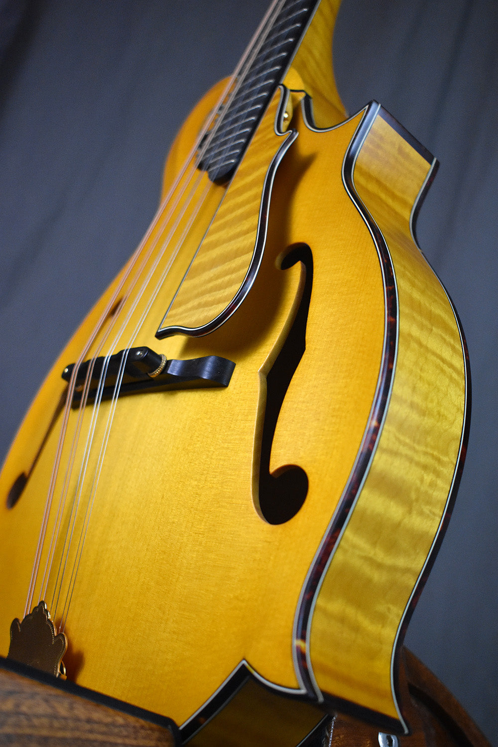 2004 Nugget F5 Deluxe #254