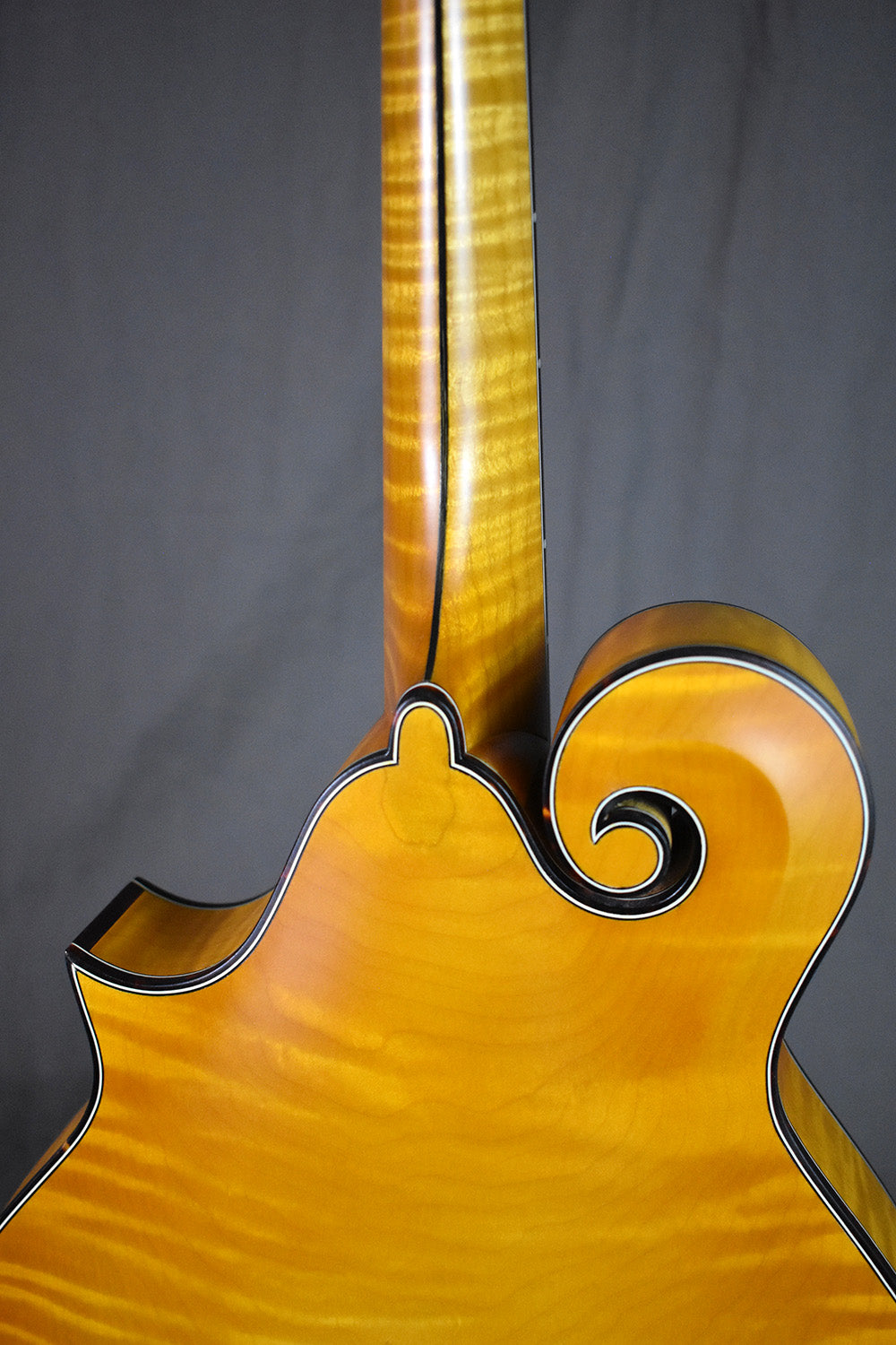 2004 Nugget F5 Deluxe #254