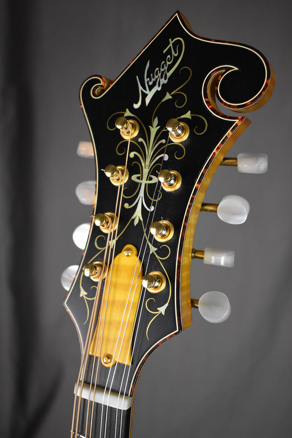 2004 Nugget F5 Deluxe #254