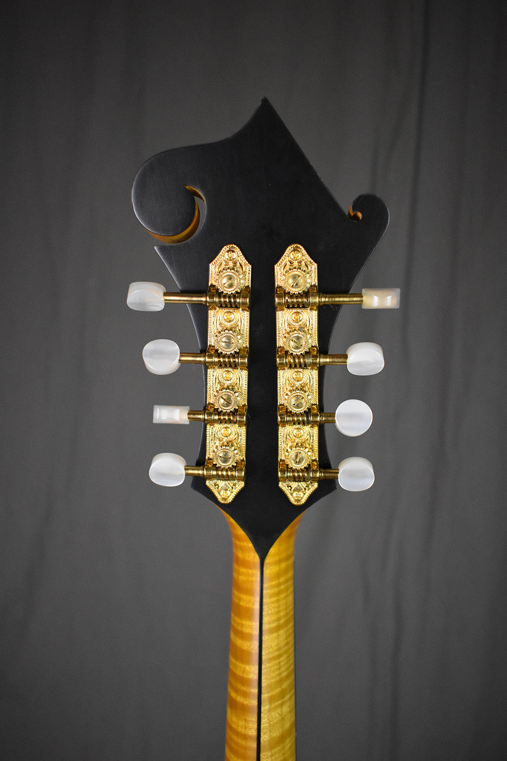 2004 Nugget F5 Deluxe #254