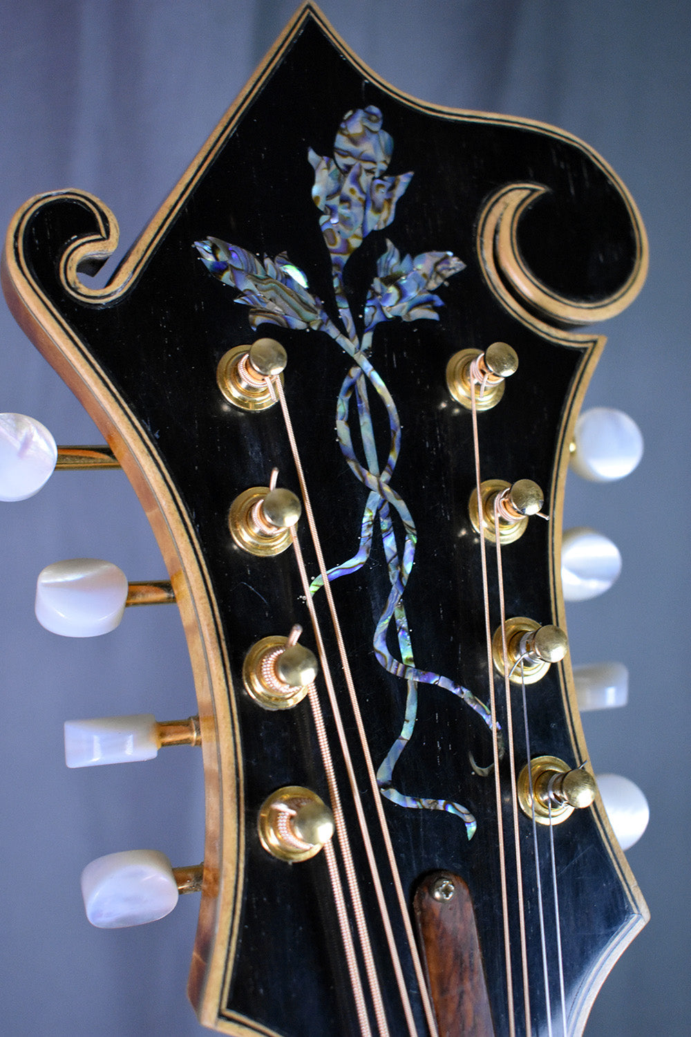 2004 San Juan Mandolins H-5 Mandola
