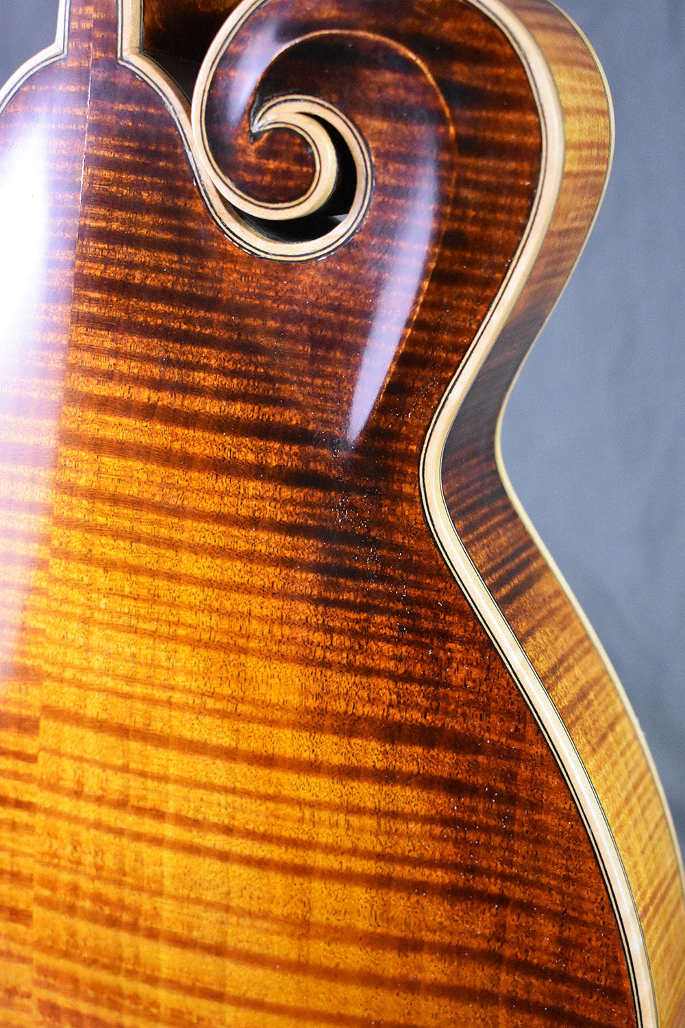 2004 San Juan Mandolins H-5 Mandola