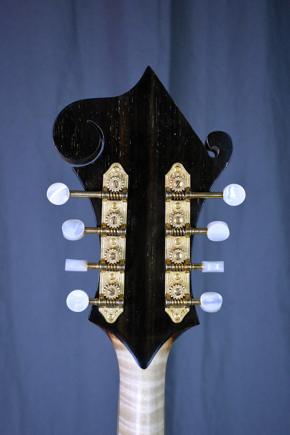 2004 San Juan Mandolins H-5 Mandola