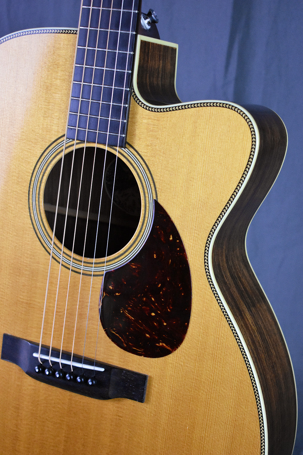 2005 Collings OM2H Cutaway