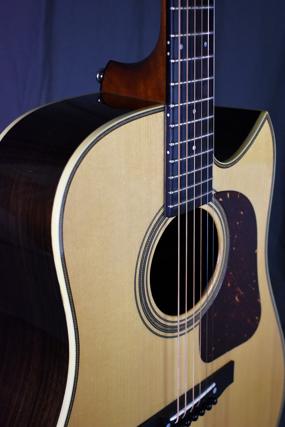 2005 Gallagher Doc Watson Cutaway Adirondack/Brazilian