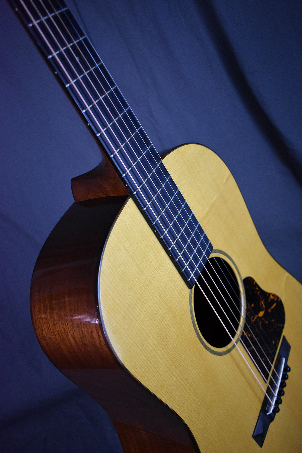 2007 Martin Ditson Dreadnought D-111