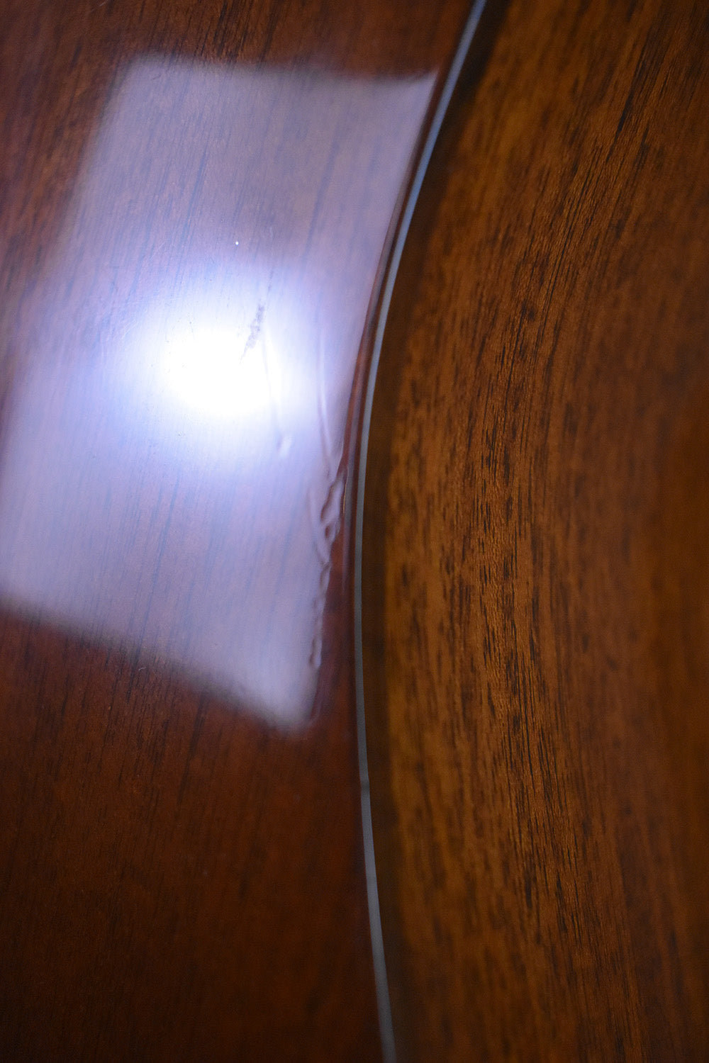 2007 Martin Ditson Dreadnought D-111