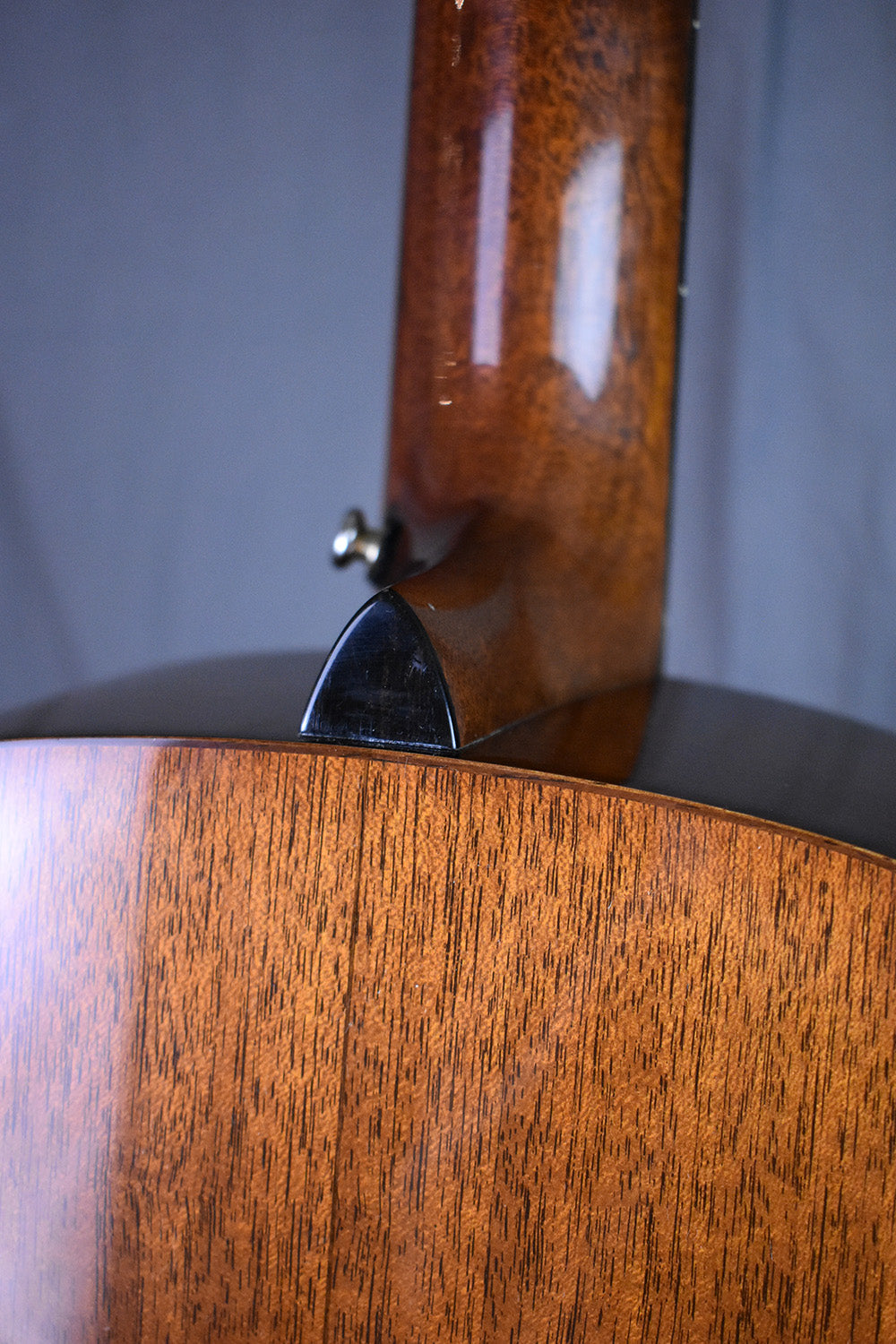2007 Martin Ditson Dreadnought D-111
