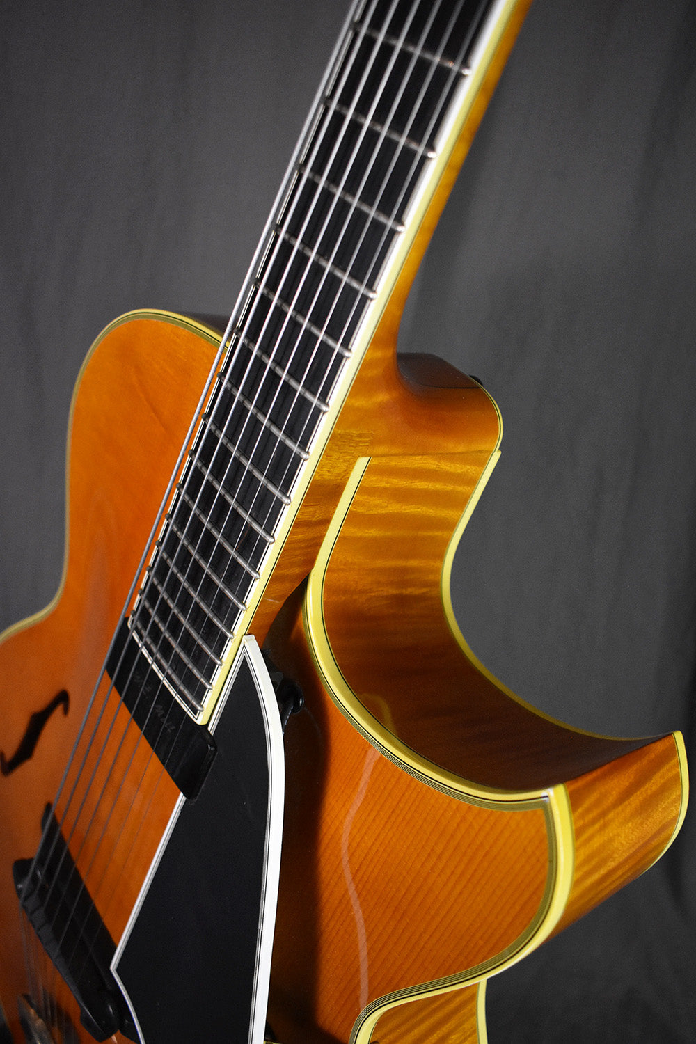 2007 W.E. Moll 17” Pizz Hero Custom 7-String