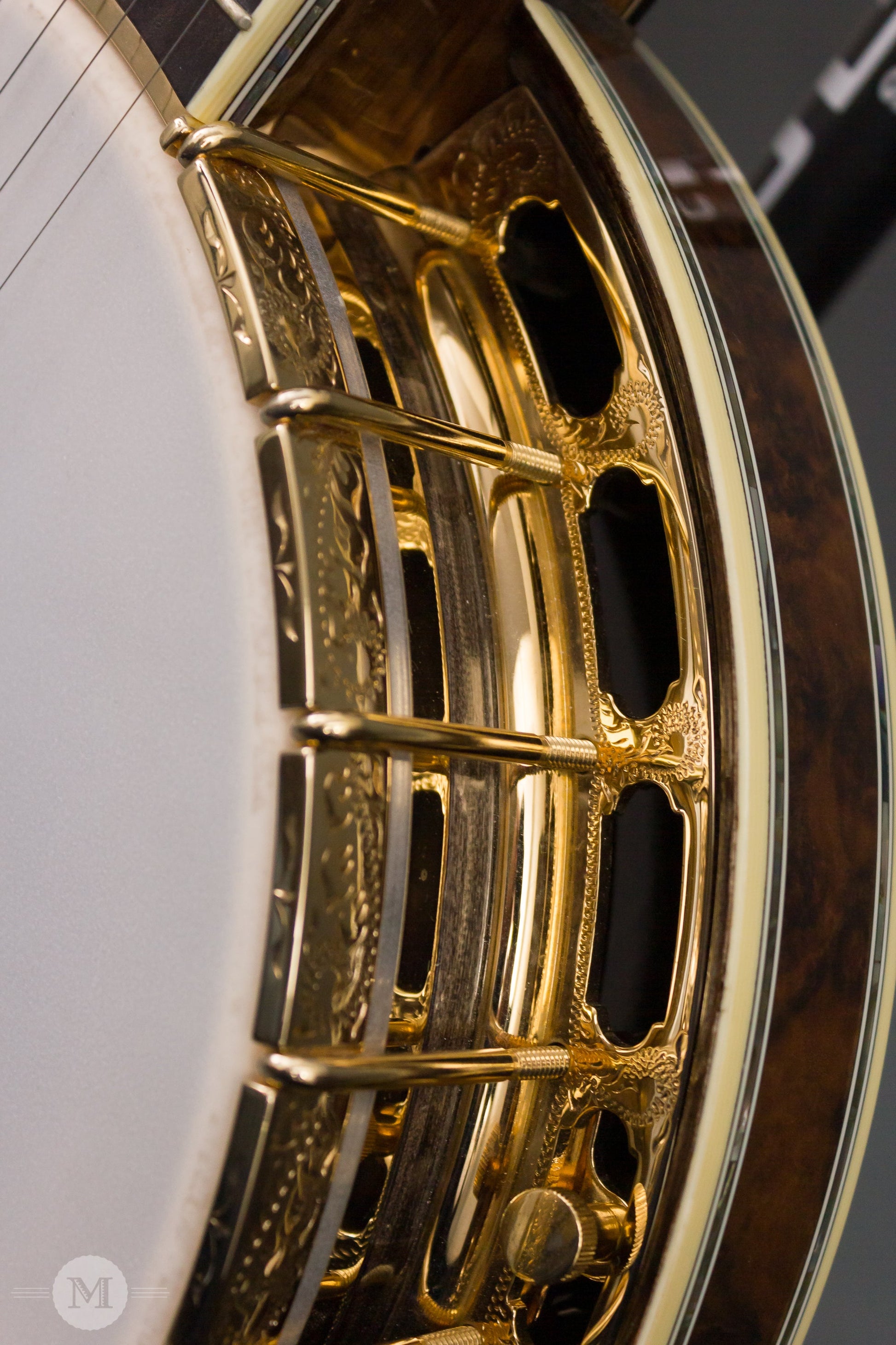 Wildwood Banjos - 2008 NAMM Custom Bluegrass - Used