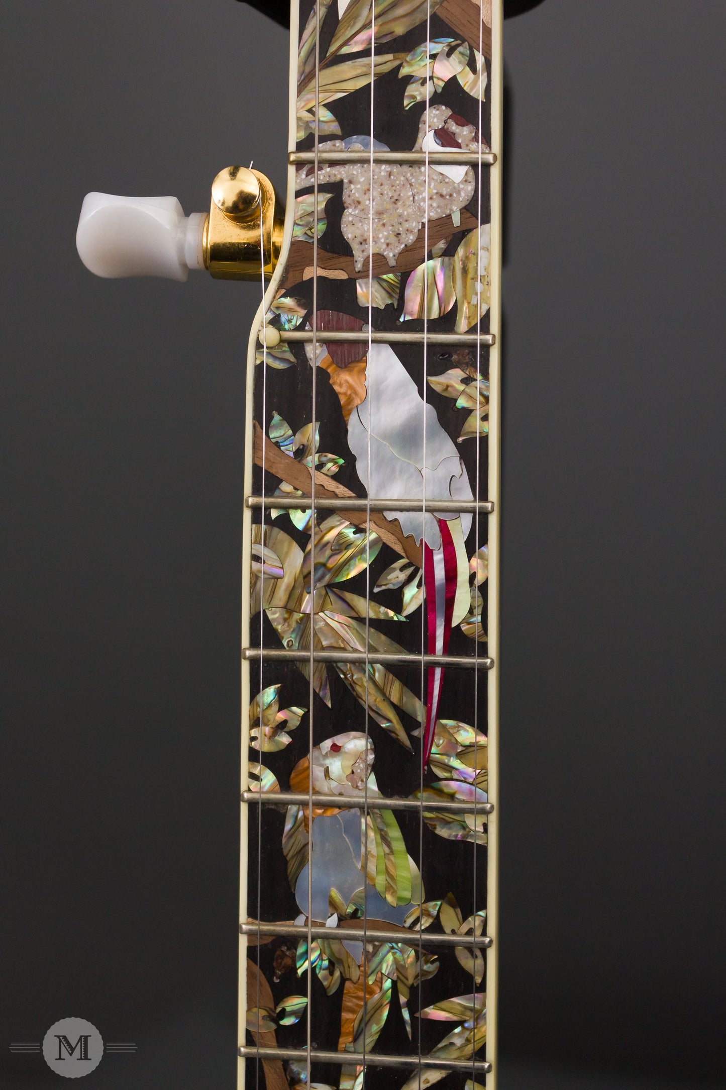 Wildwood Banjos - 2008 NAMM Custom Bluegrass - Used