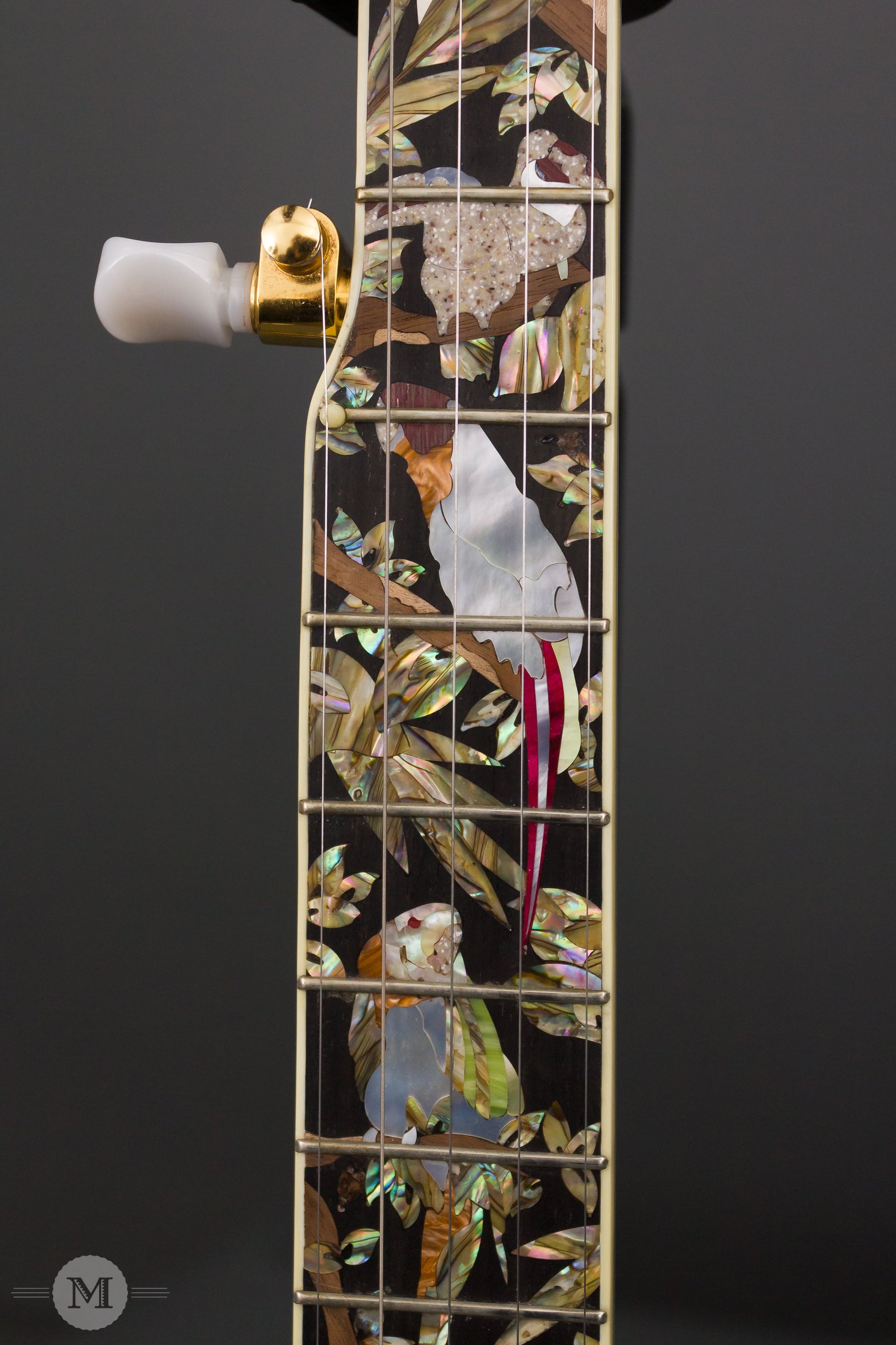 Wildwood Banjos - 2008 NAMM Custom Bluegrass - Used