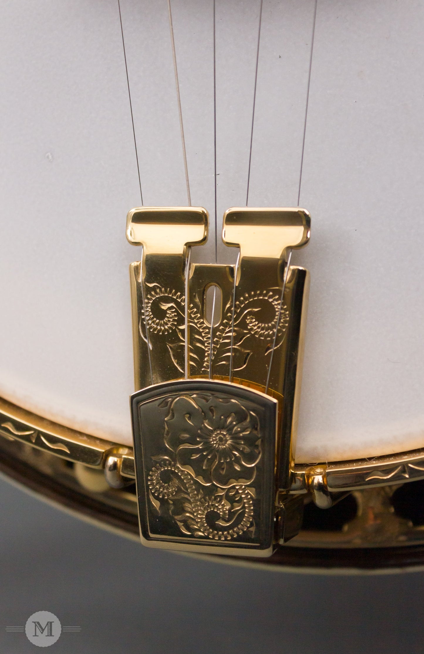 Wildwood Banjos - 2008 NAMM Custom Bluegrass - Used