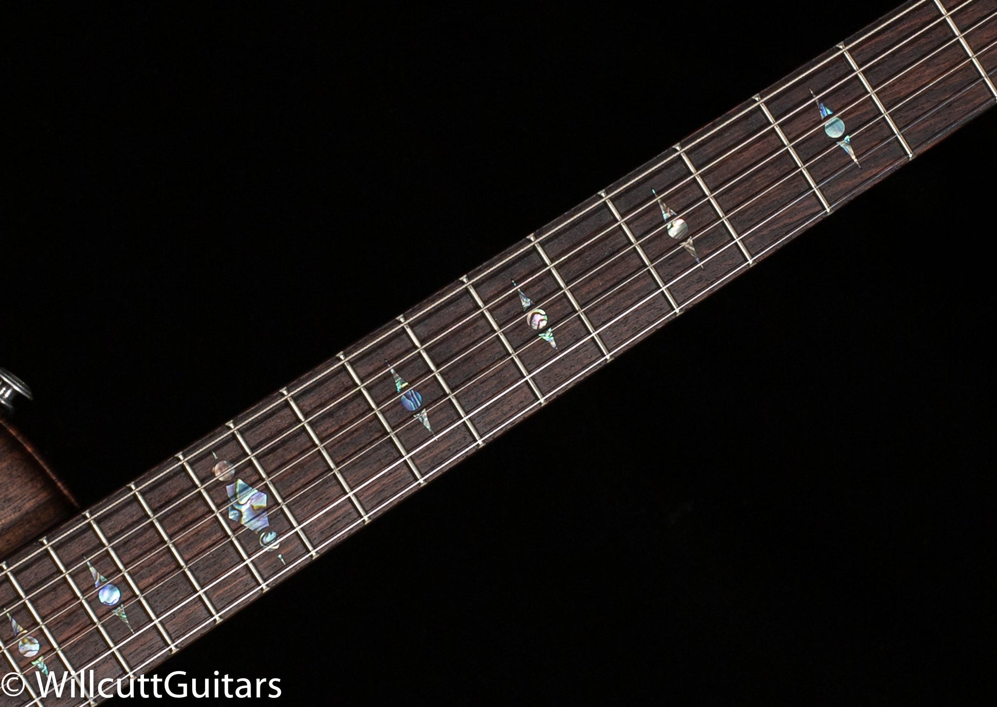 Scott Walker Katana Deluxe Rosewood (010)
