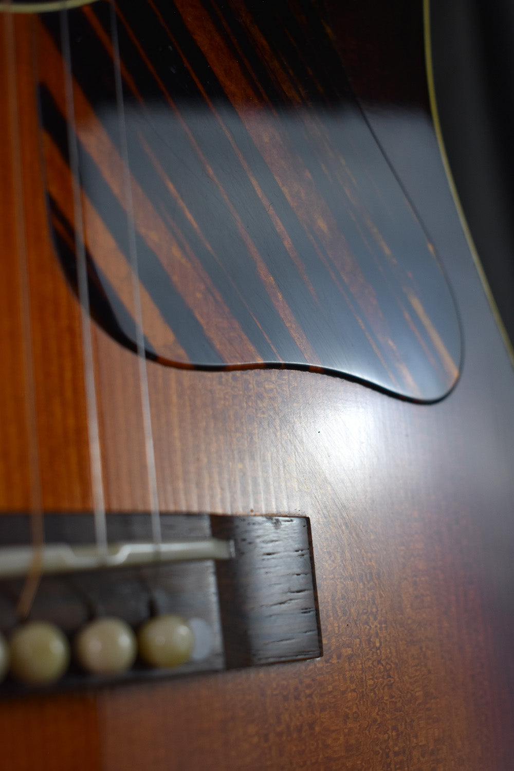 2010 Kevin Kopp AJ Brazilian