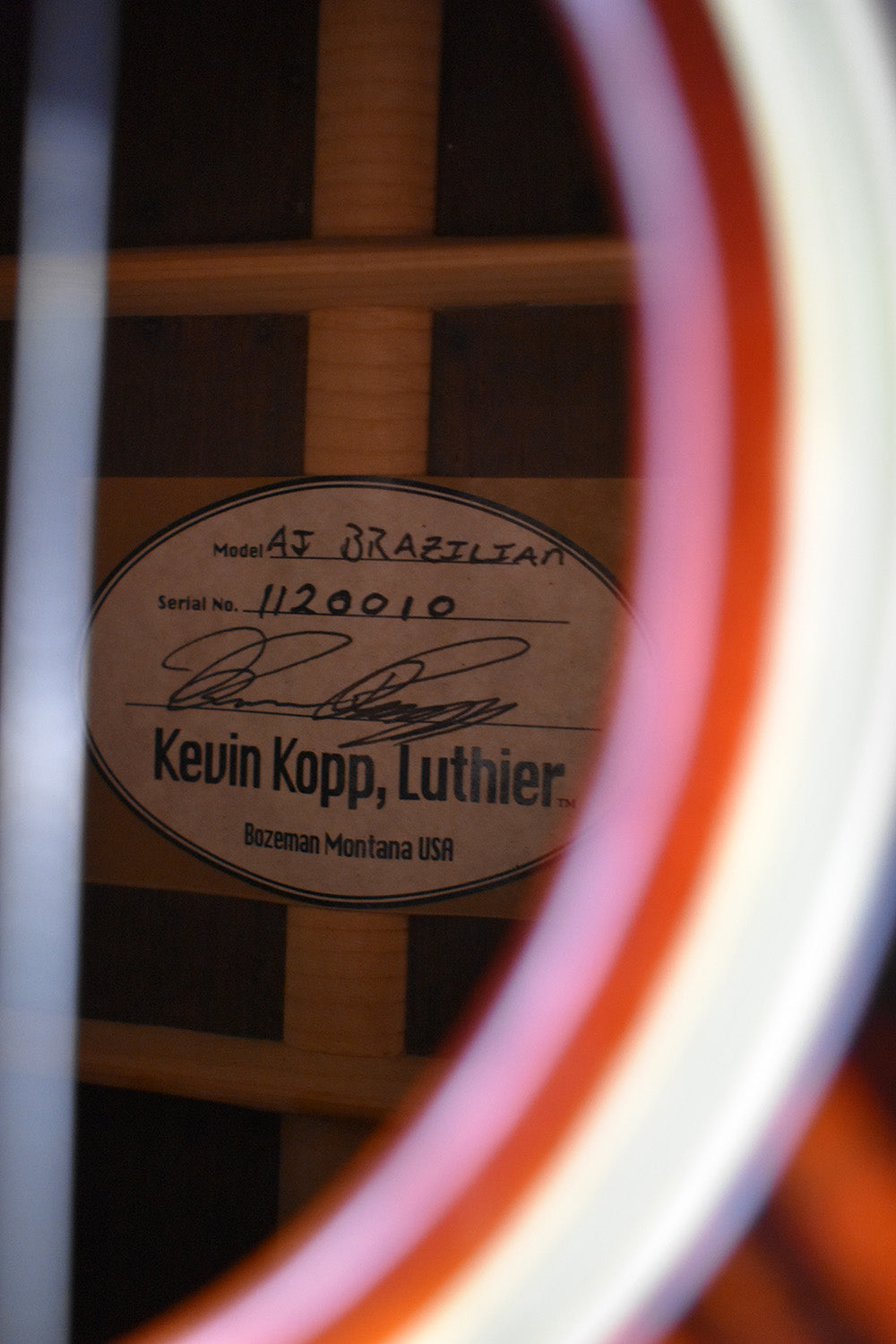 2010 Kevin Kopp AJ Brazilian
