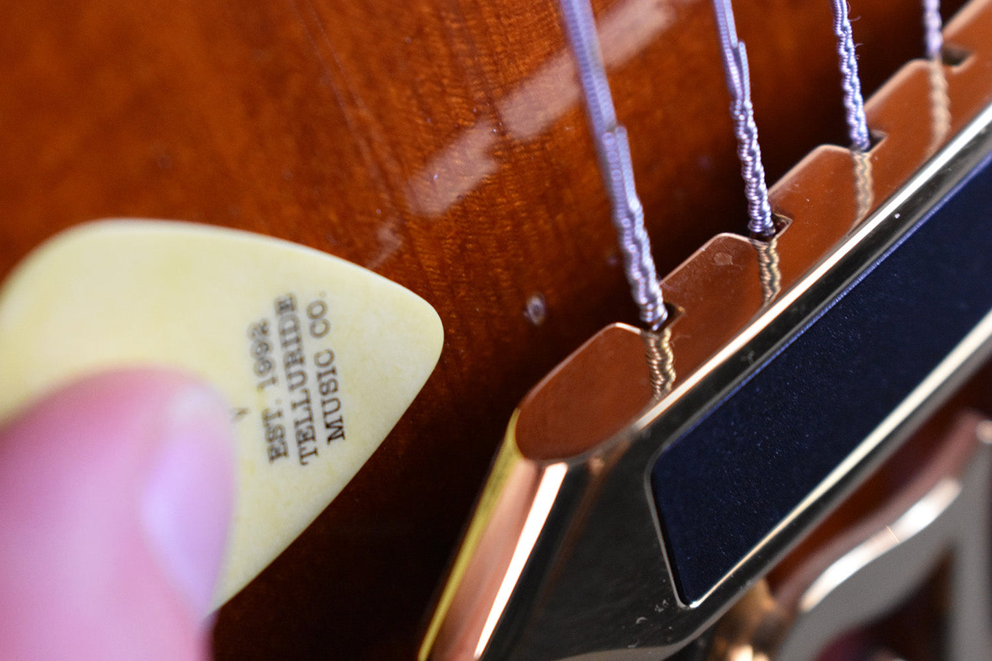 2010 Heritage Sweet 16 Almond Sunburst