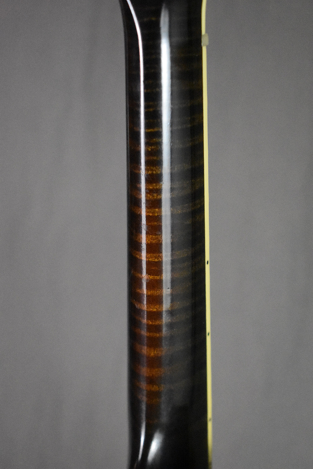 2017 Elkhorn F-5 Fern