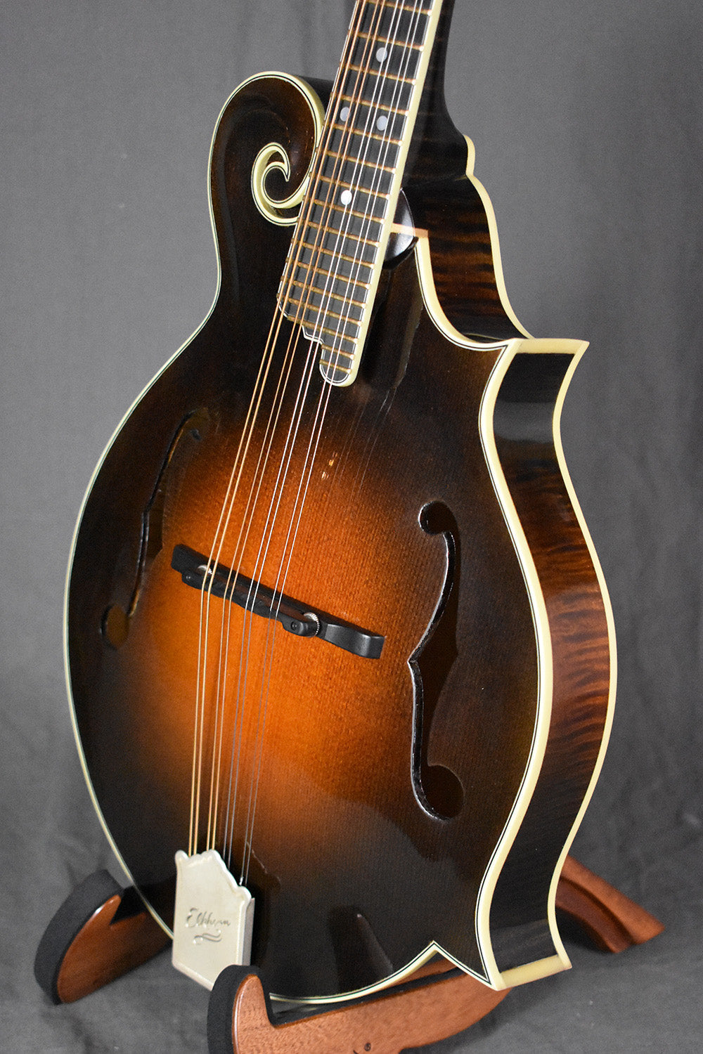 2018 Elkhorn F-5 Fern