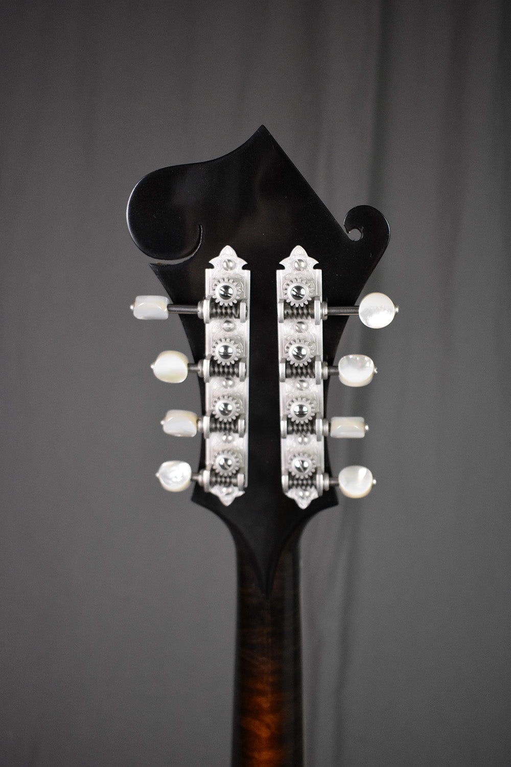 2018 Elkhorn F-5 Fern