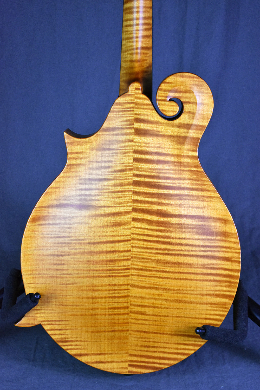 Collings MF Honey Amber Gloss Top