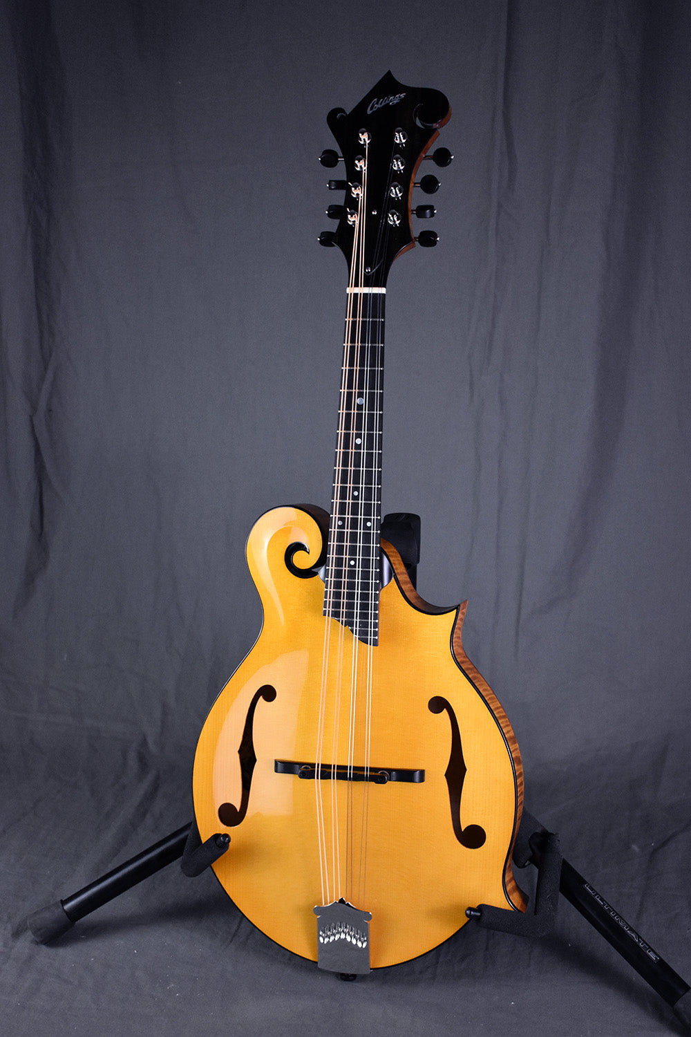 Collings MF Honey Amber Gloss Top