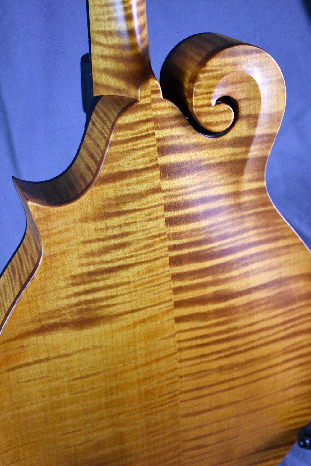 Collings MF Honey Amber Gloss Top