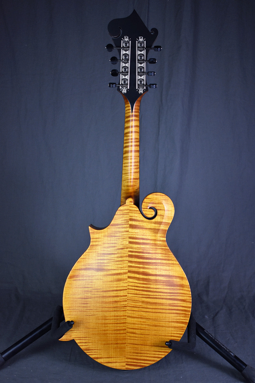 Collings MF Honey Amber Gloss Top