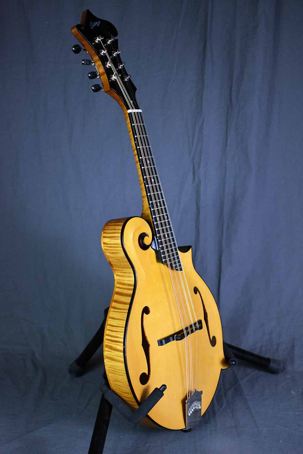 Collings MF Honey Amber Gloss Top