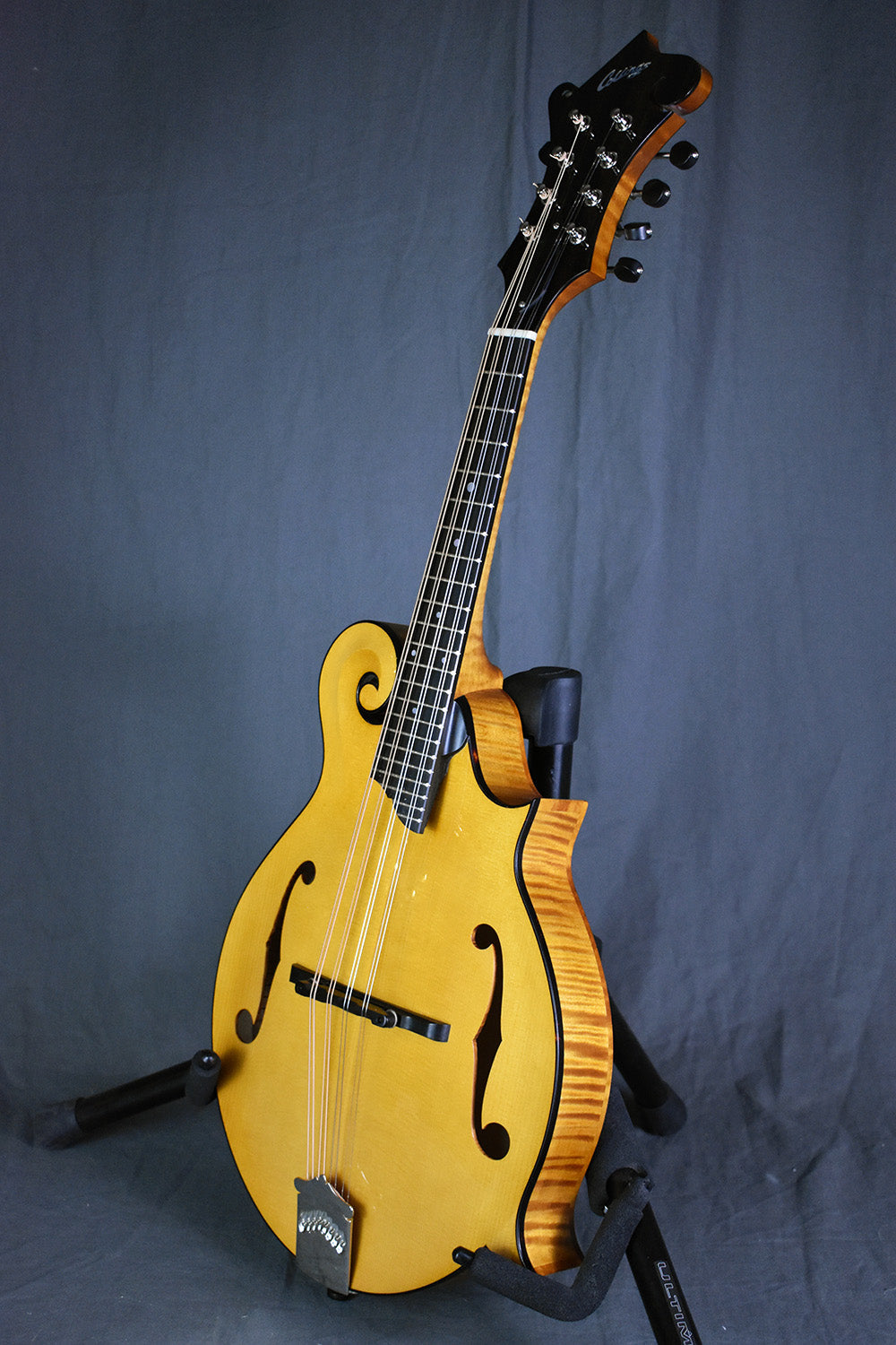 Collings MF Honey Amber Gloss Top
