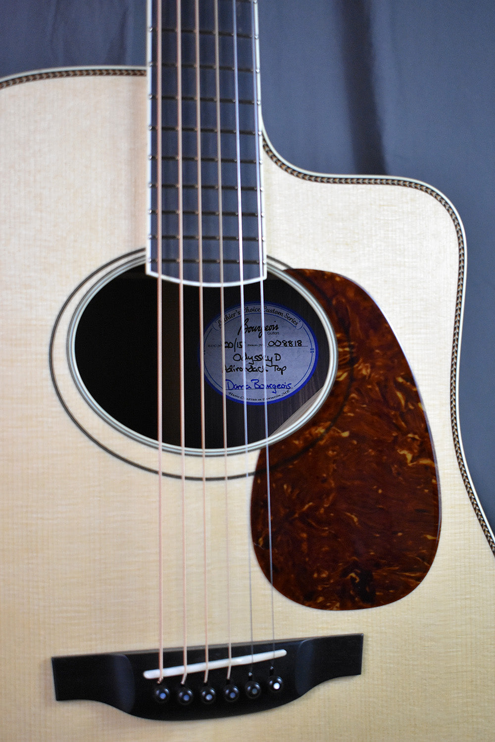 D Odyssey - Luthier's Choice Custom #8818