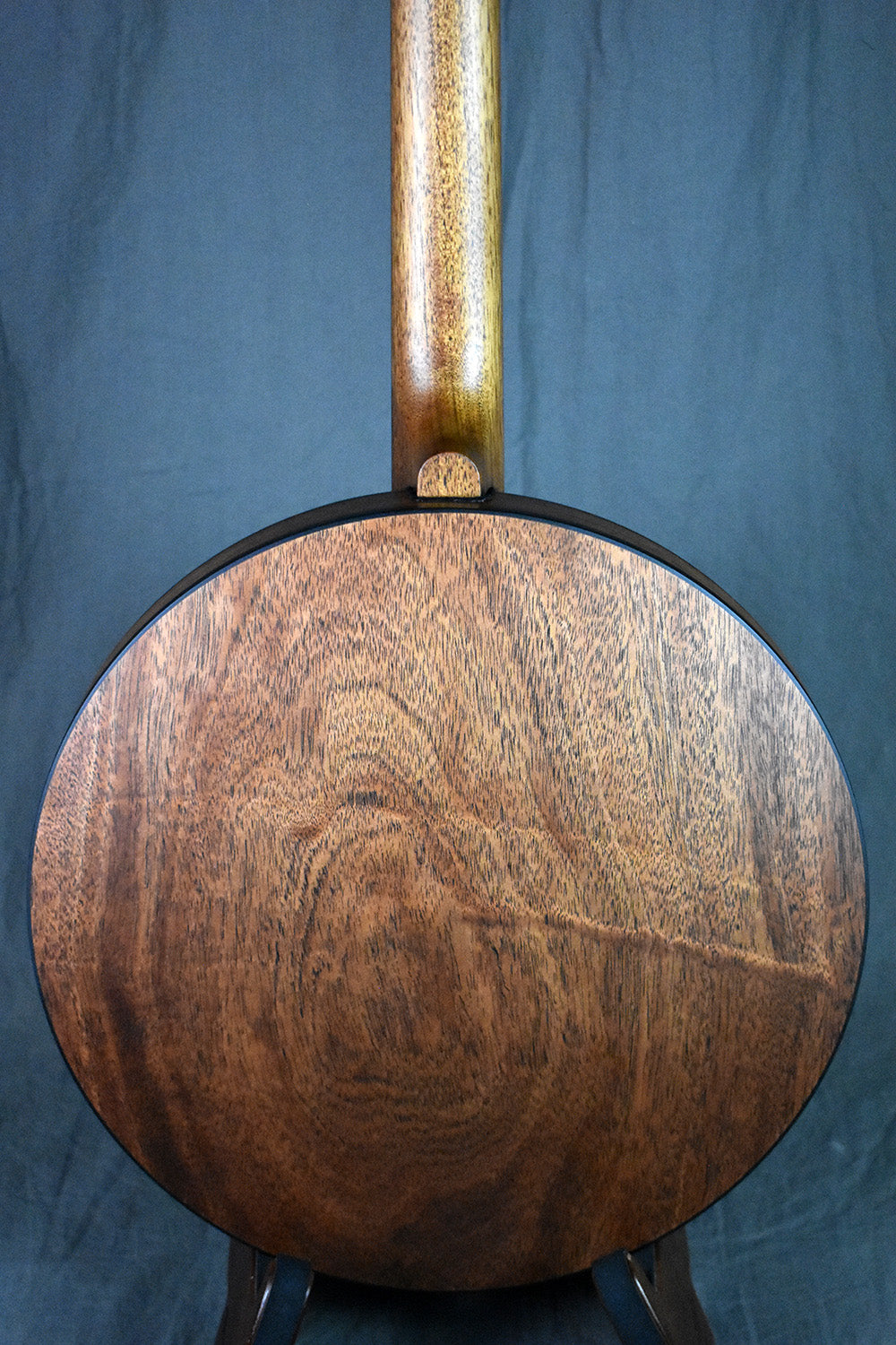 Deering Julia Belle Low-Tuned 5-String Banjo