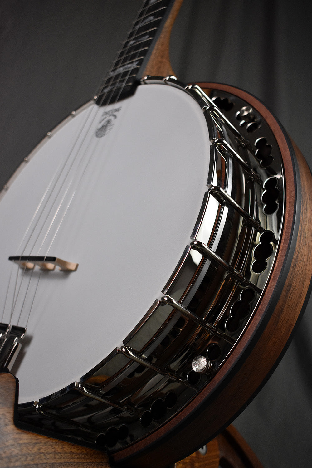 Deering Julia Belle Low-Tuned 5-String Banjo