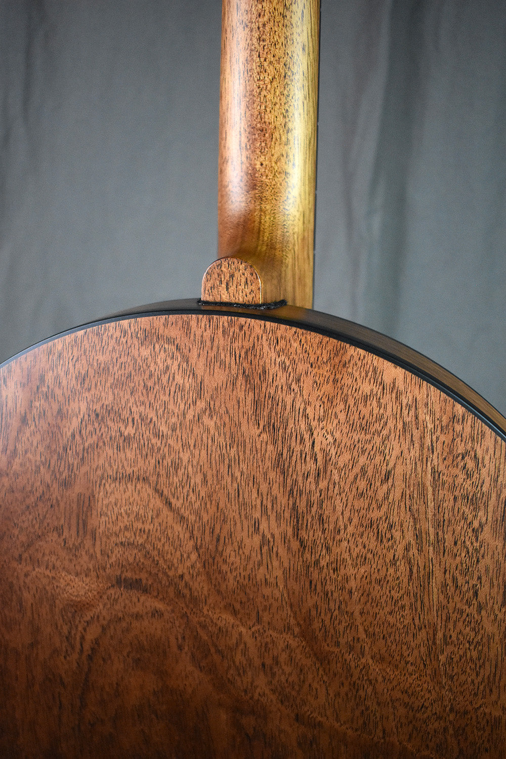 Deering Julia Belle Low-Tuned 5-String Banjo