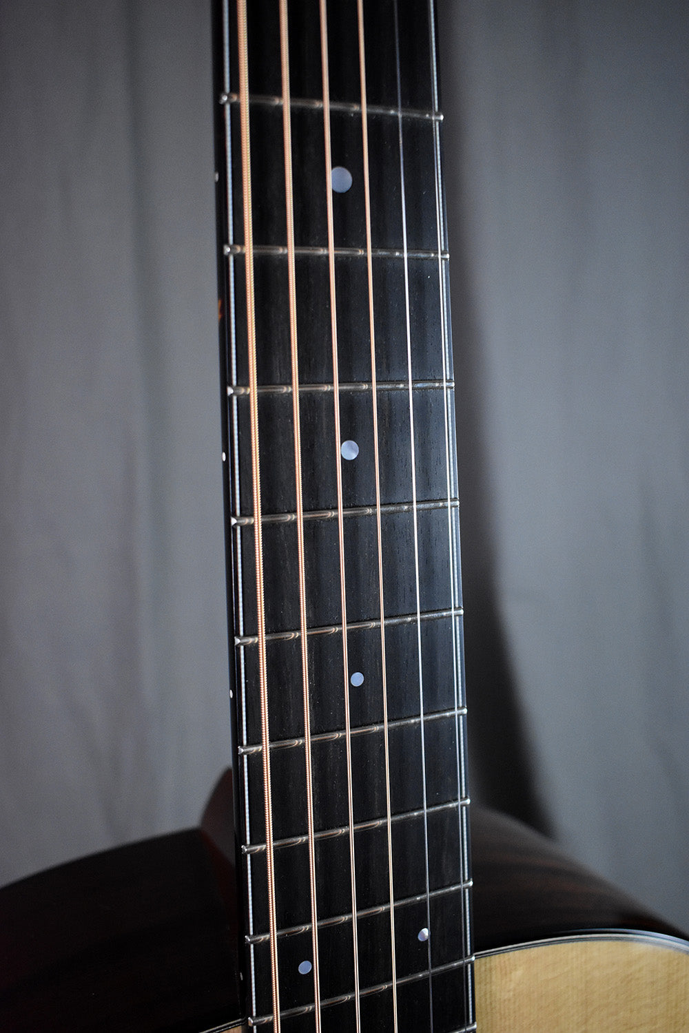 Collings DS1 Old Growth Sitka w/ 1-3/4" Nut & Dalmation Pickguard