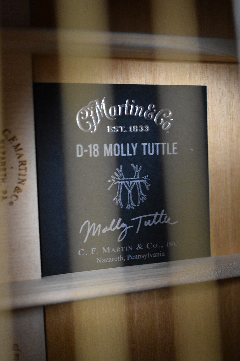 Martin D-18 Molly Tuttle