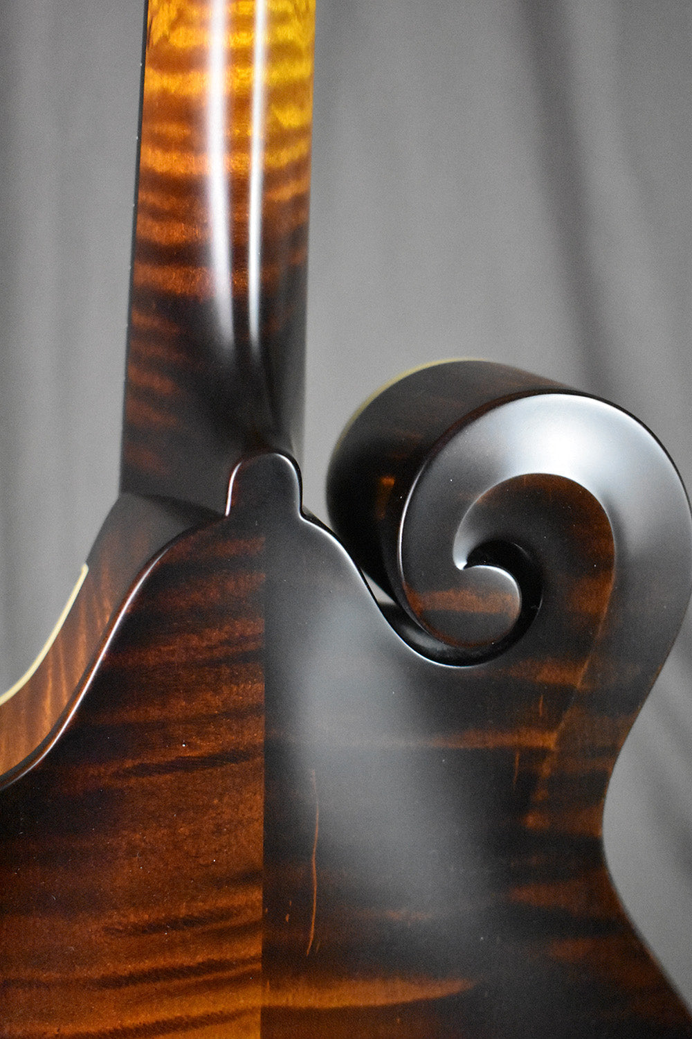Collings MF Gloss Top
