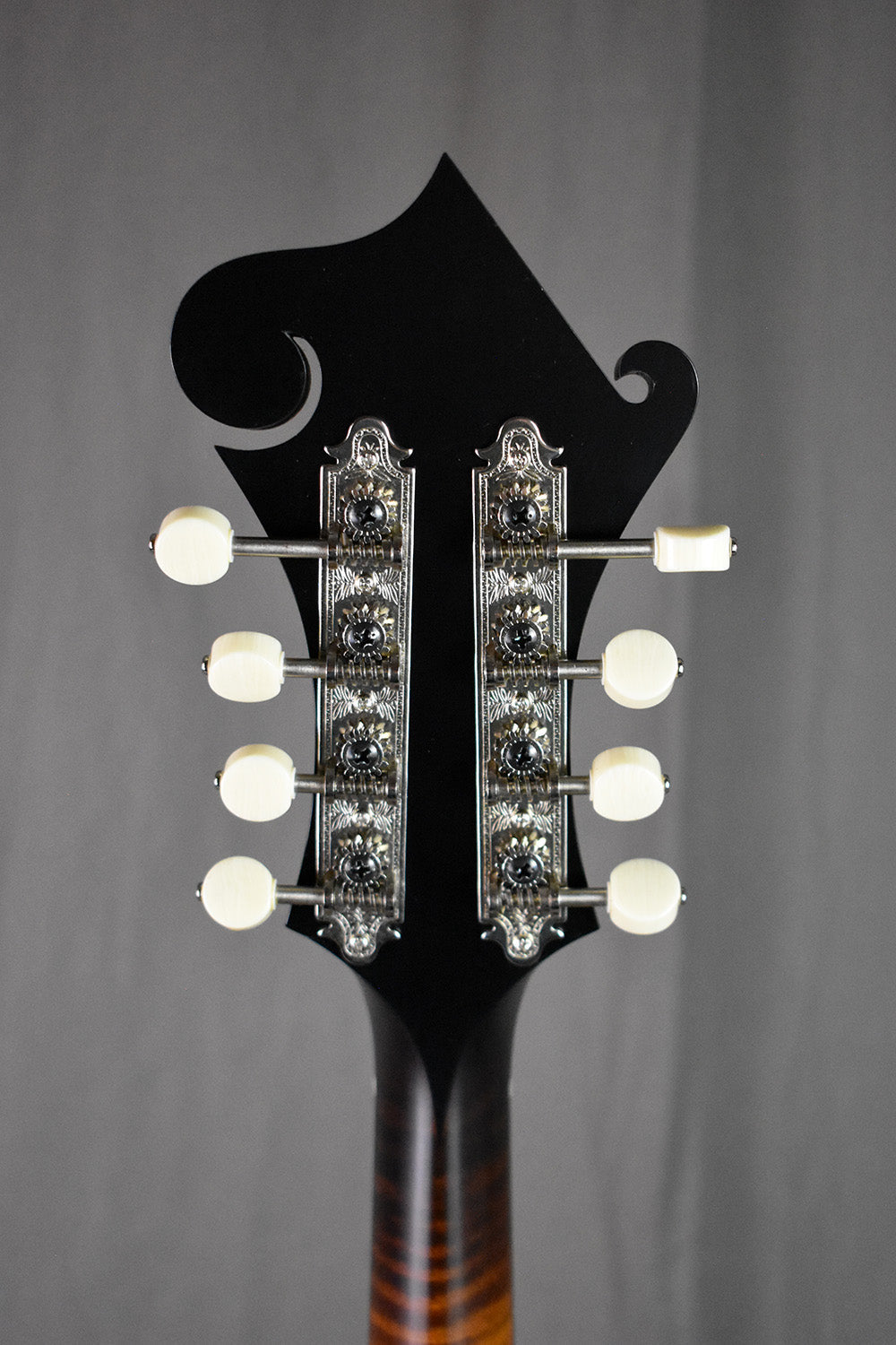 Collings MF Gloss Top