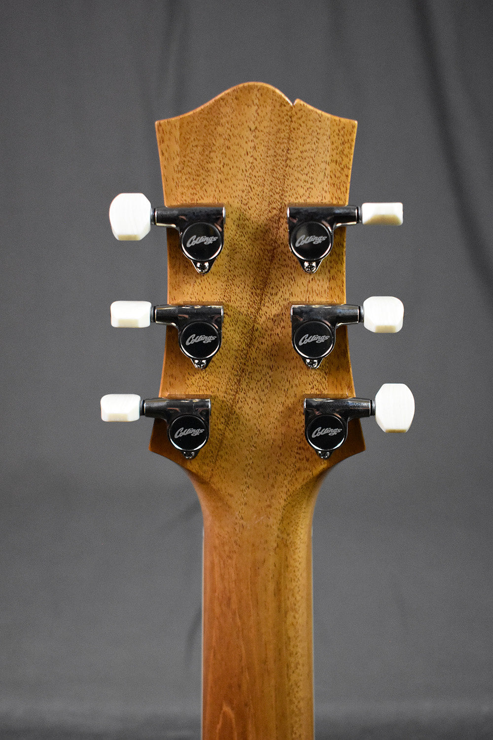 Collings 290 Custom Natural w/ ThroBak 55/56