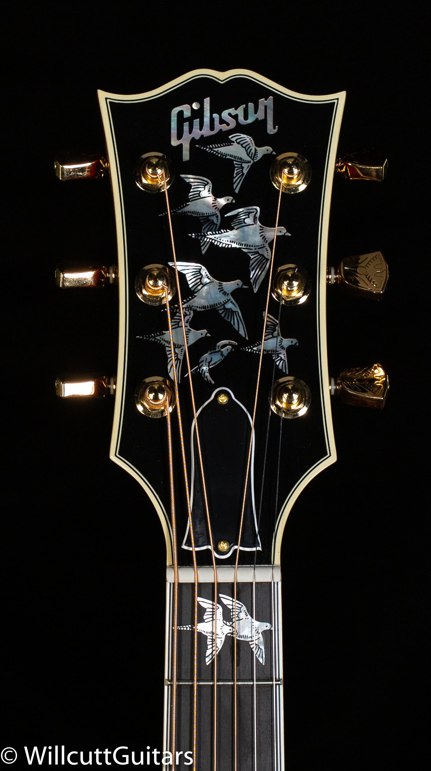 Gibson Doves in Flight