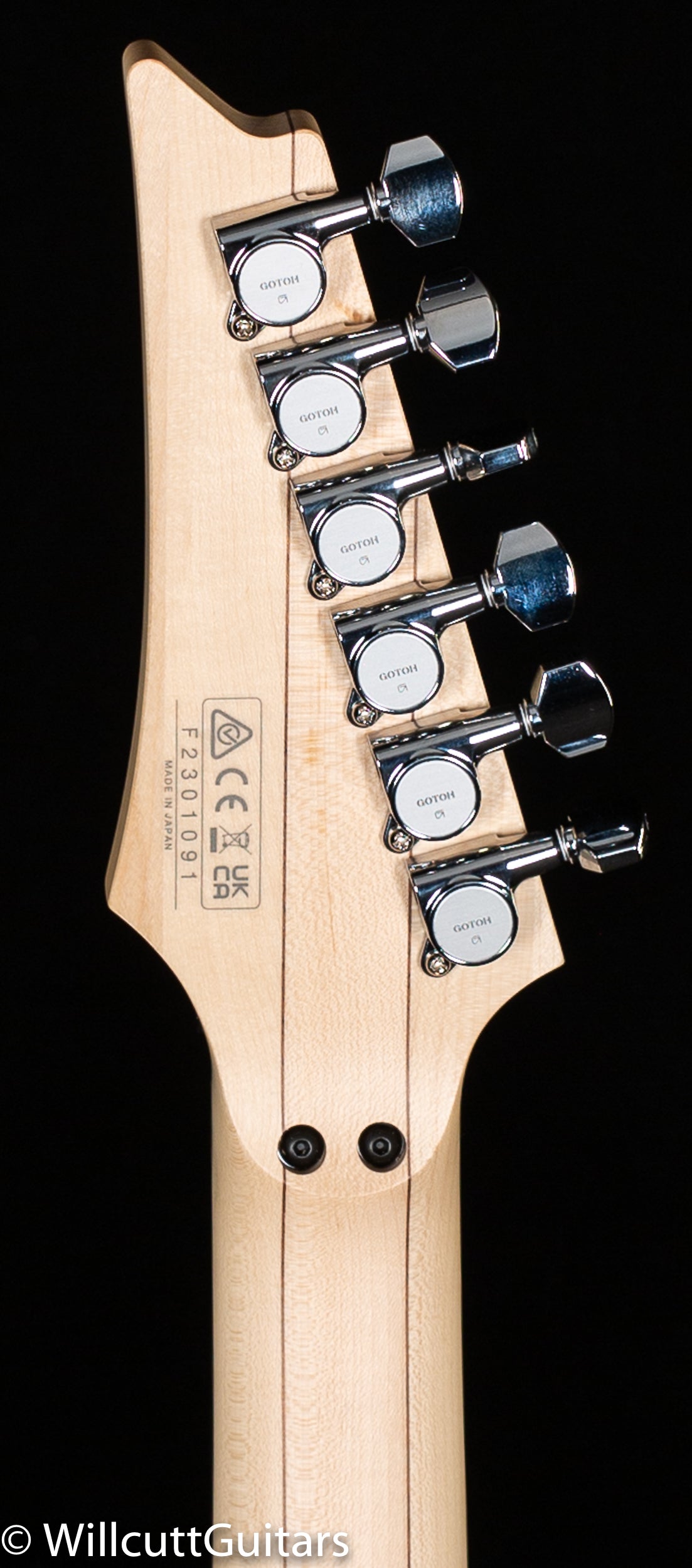 Ibanez Steve Vai Signature Blue Powder (091)