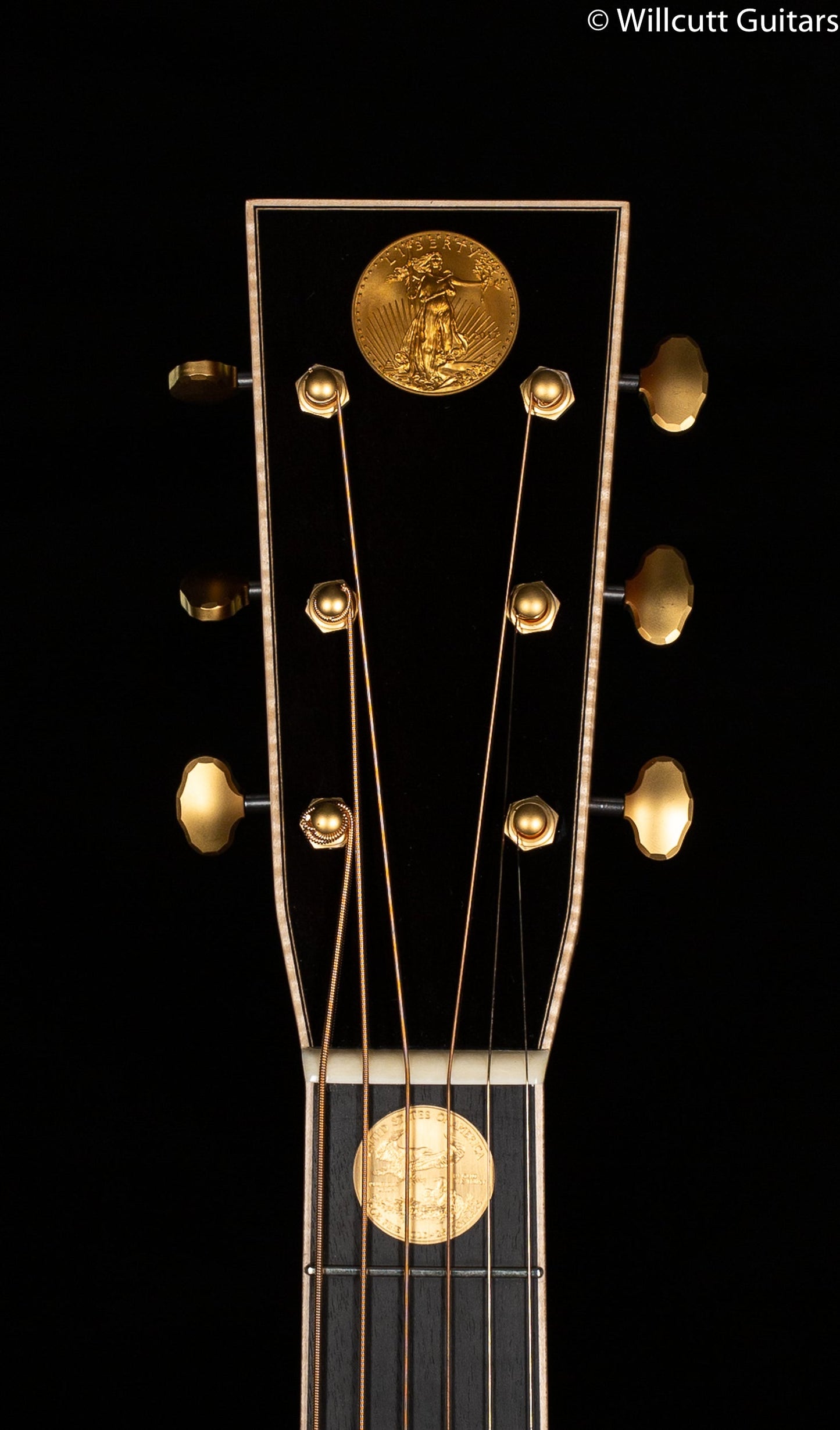 Martin Custom Shop D-45 Cocobolo Coin Inlay (333)