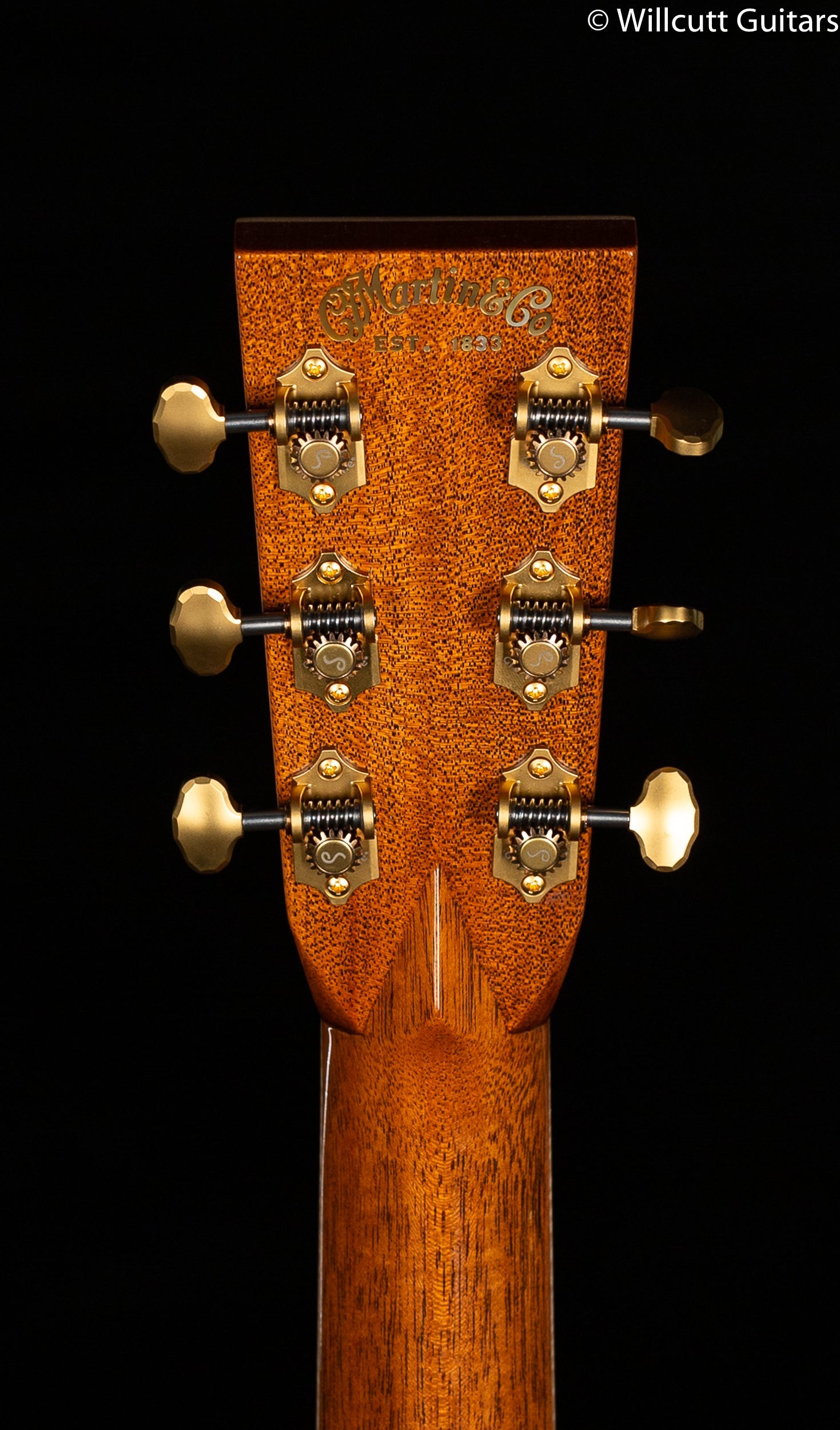 Martin Custom Shop D-45 Cocobolo Coin Inlay (333)