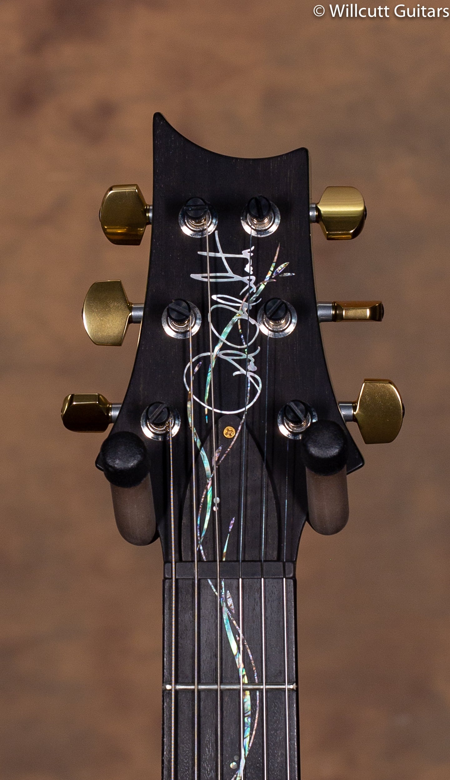 PRS Custom 22 30th Anniversary Vine LTD USED