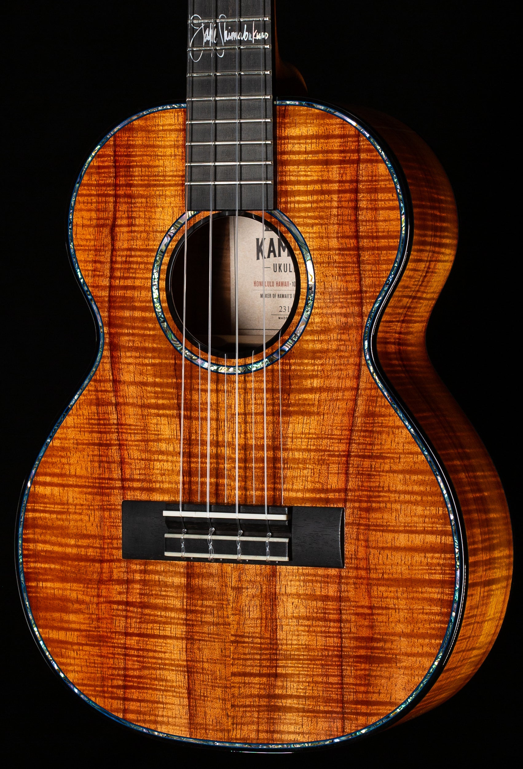 Kamaka Jake Blue Edition HF-3 D4I Tenor Ukulele (620)